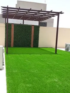 صورة المقال