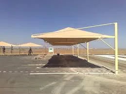 صورة المقال