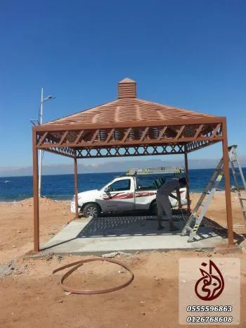 صورة المقال