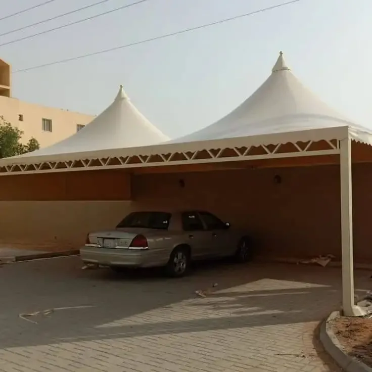 صورة المقال