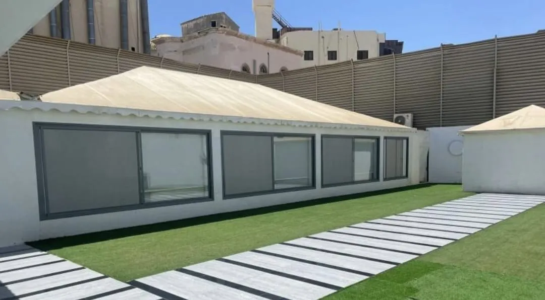 صورة المقال