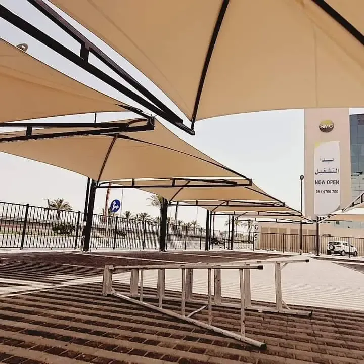 صورة المقال