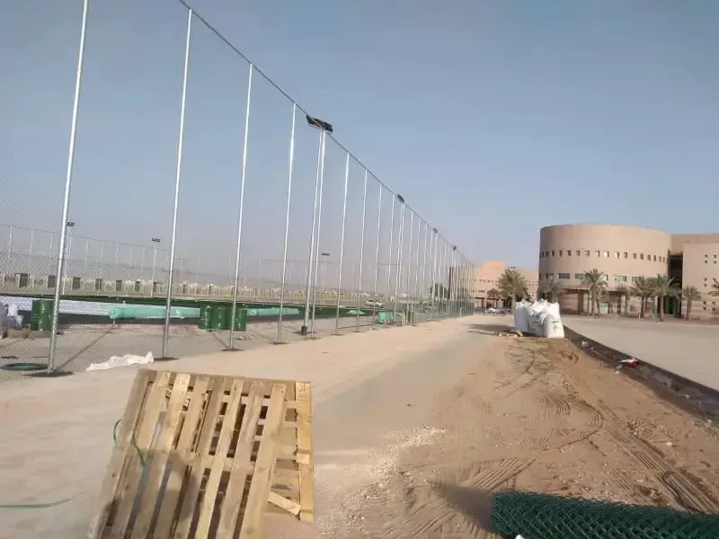 صورة المقال