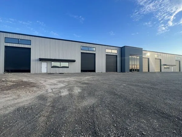 صورة المقال