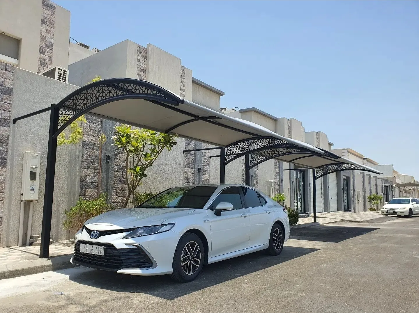 صورة المقال