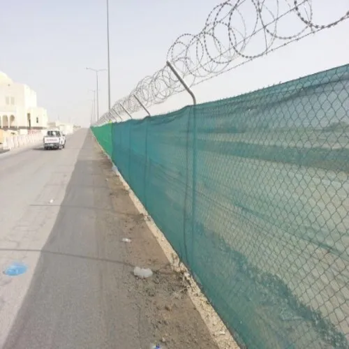 صورة المقال