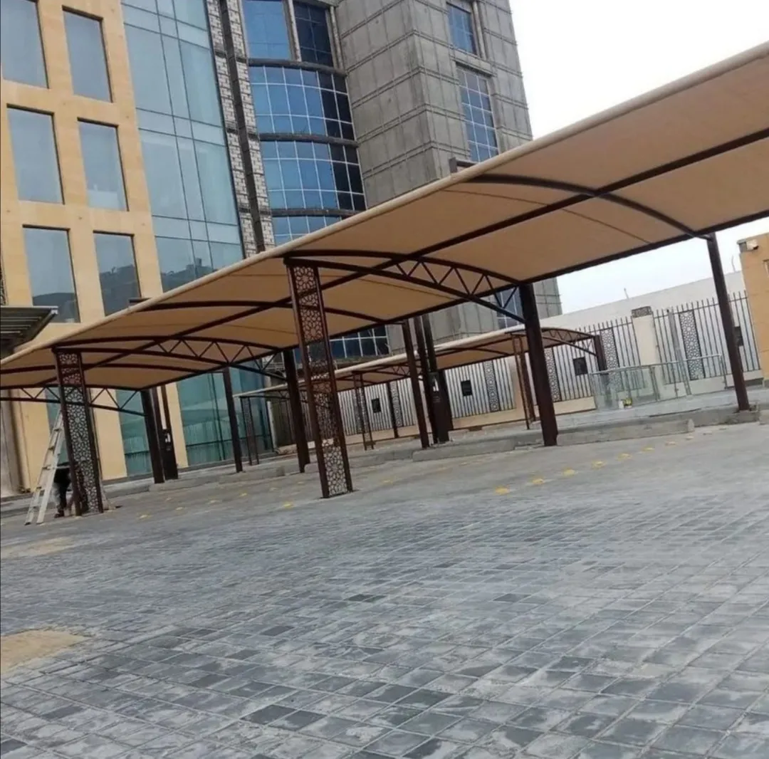 صورة المقال