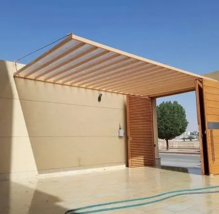 صورة المقال