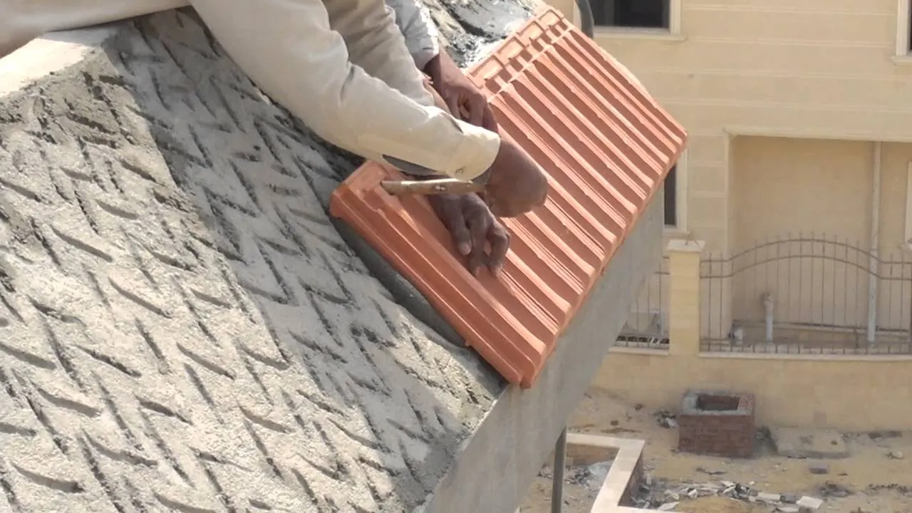 صورة المقال