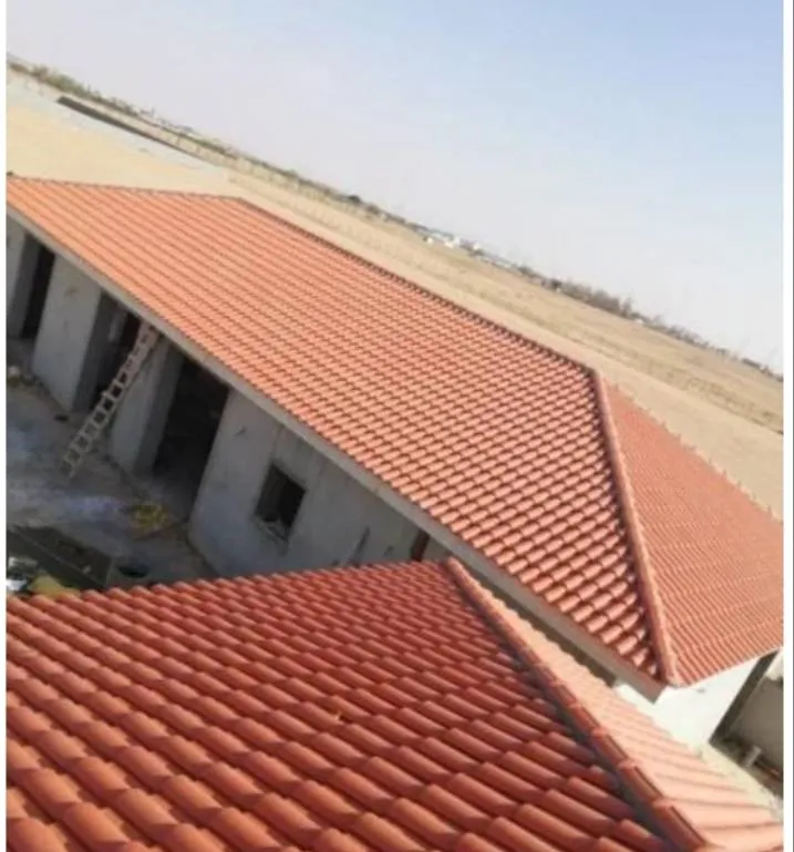 افضل ملاحق مودرن صغيرة في الروضه وحي المحمدية: أفكار مبتكرة