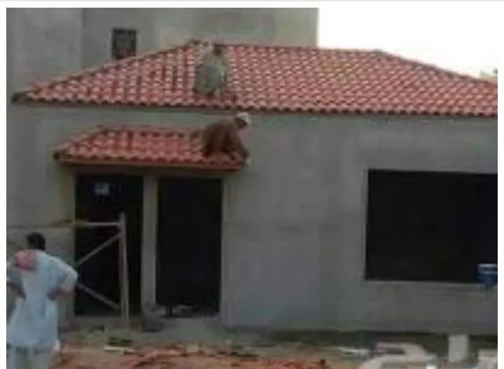 افضل ملاحق مودرن صغيرة في الروضه وحي المحمدية: أفكار مبتكرة